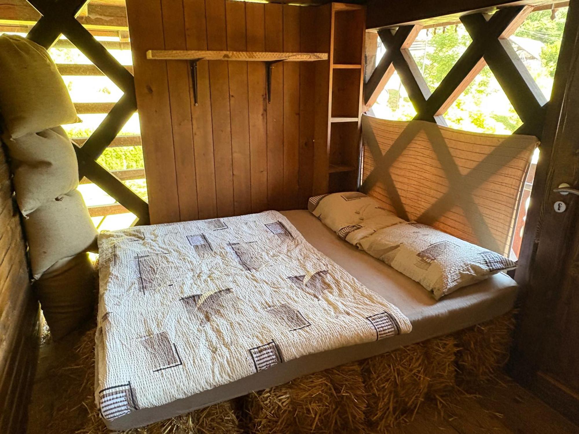 Resort Pod Orehi - Bled - Apartma & Glamping & Savna Экстерьер фото